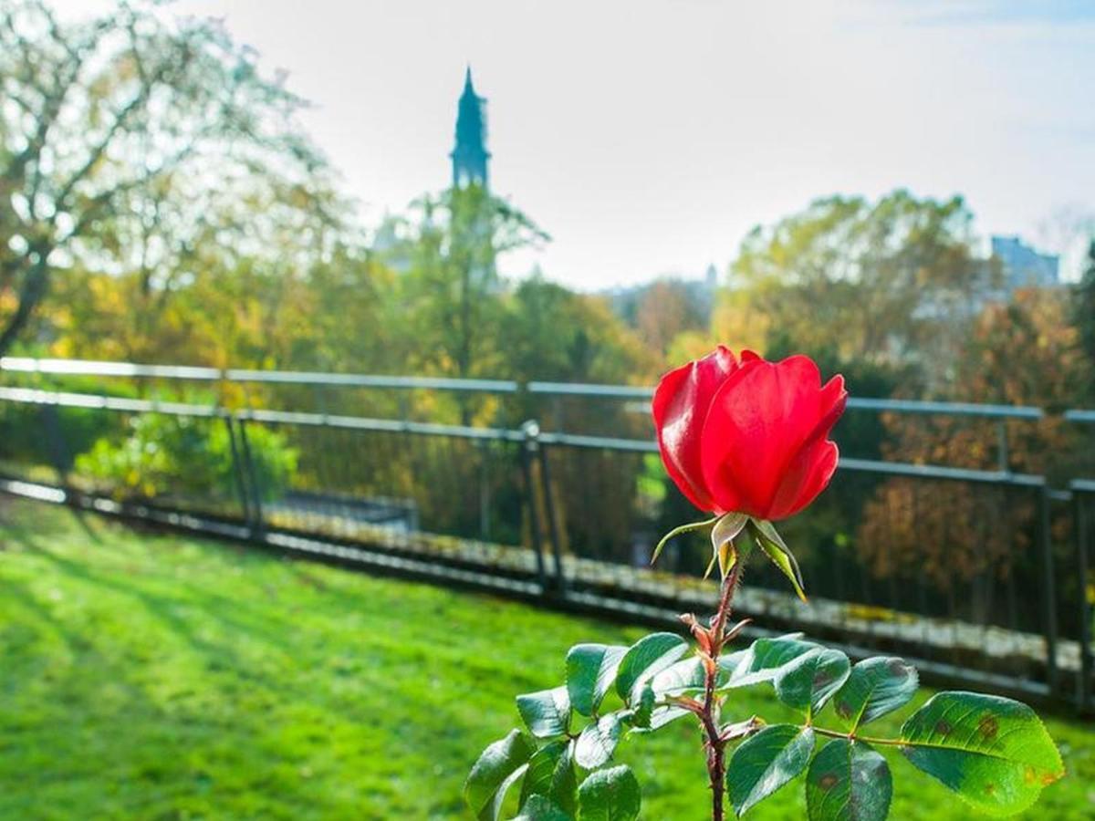 Katholische Akademie Der Erzdioezese Freiburg Hotel Eksteriør billede